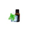 AROMA ICE MENTHOL 10ML - OIL4VAP