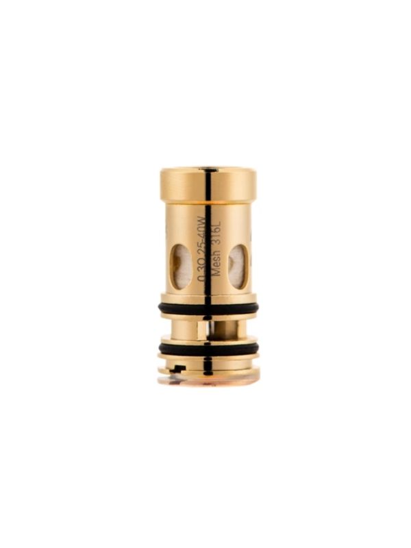 RESISTENCIA DOTAIO V2 0.3 Ohm - DOTMOD