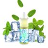 AROMA ICEE MINT 10ML - FRUIZEE